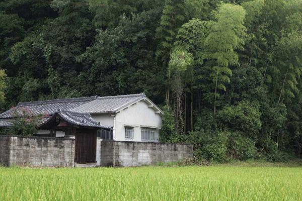 Flaherty, Dennis 아티스트의 Japan, Heguri-cho Rural home next to rice field작품입니다.